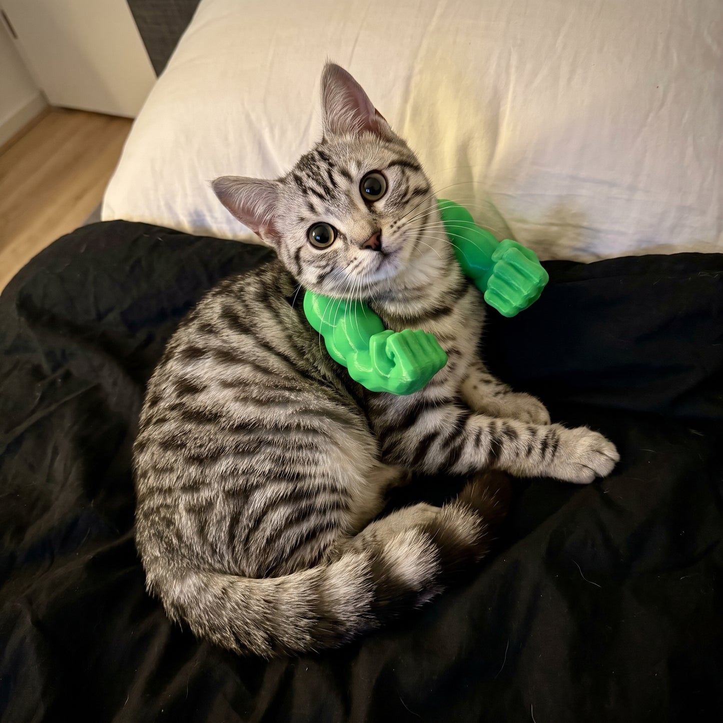 PawerLifter™ Cat Muscle Arms
