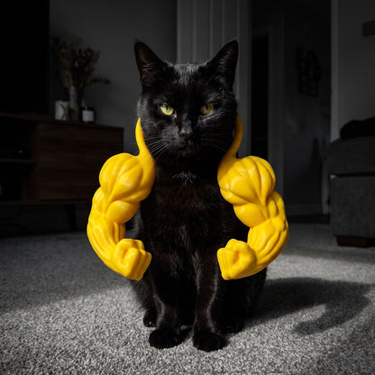 PawerLifter™ Cat Muscle Arms
